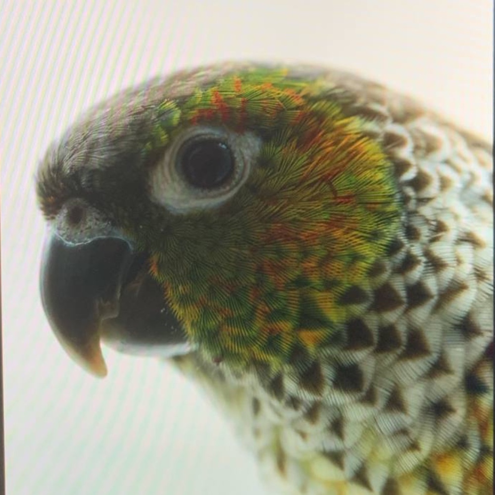 Meet your Posher, Olha